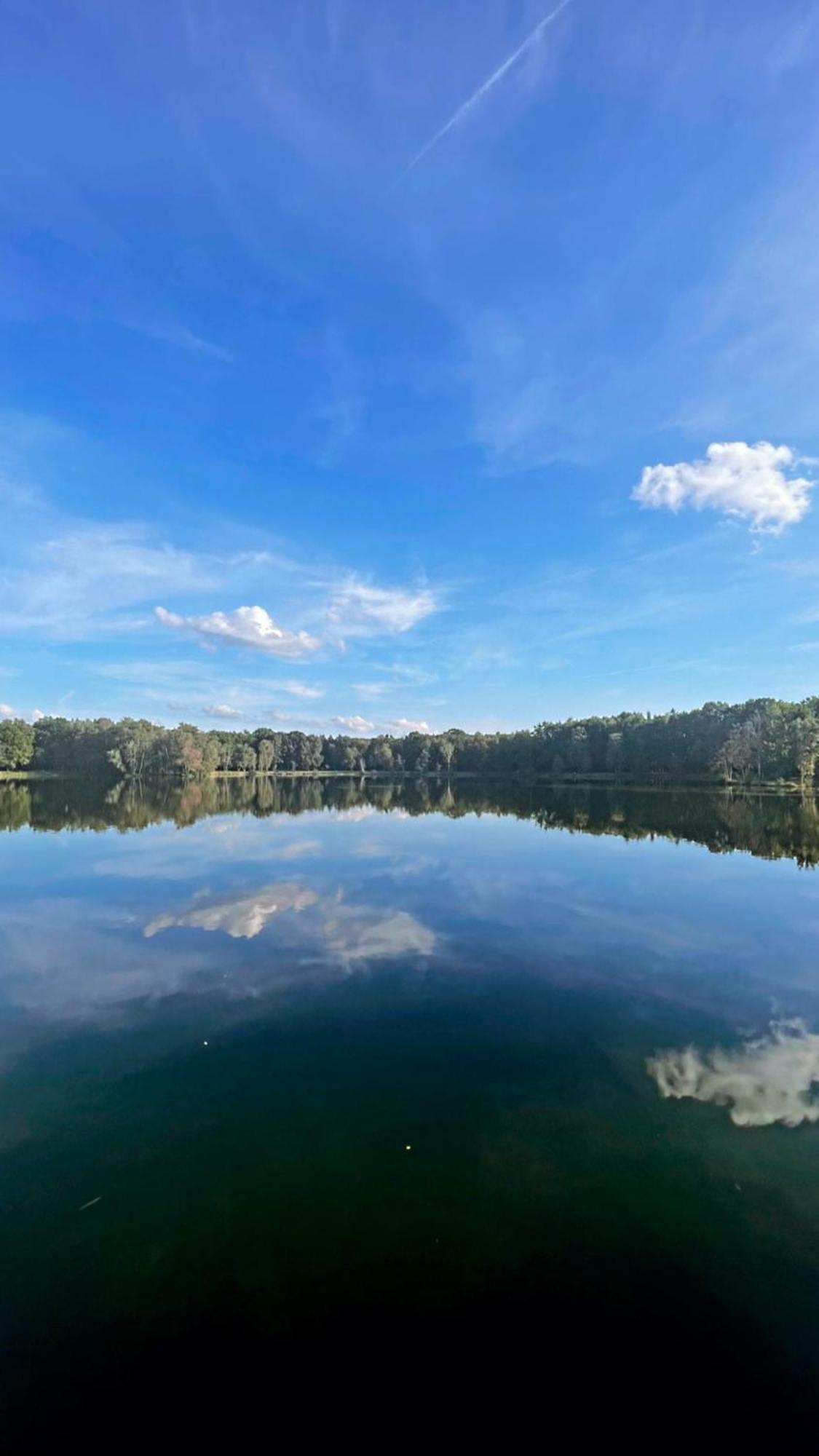 Boshuisje Pinus Sonnevijver Residences Ланакен Экстерьер фото