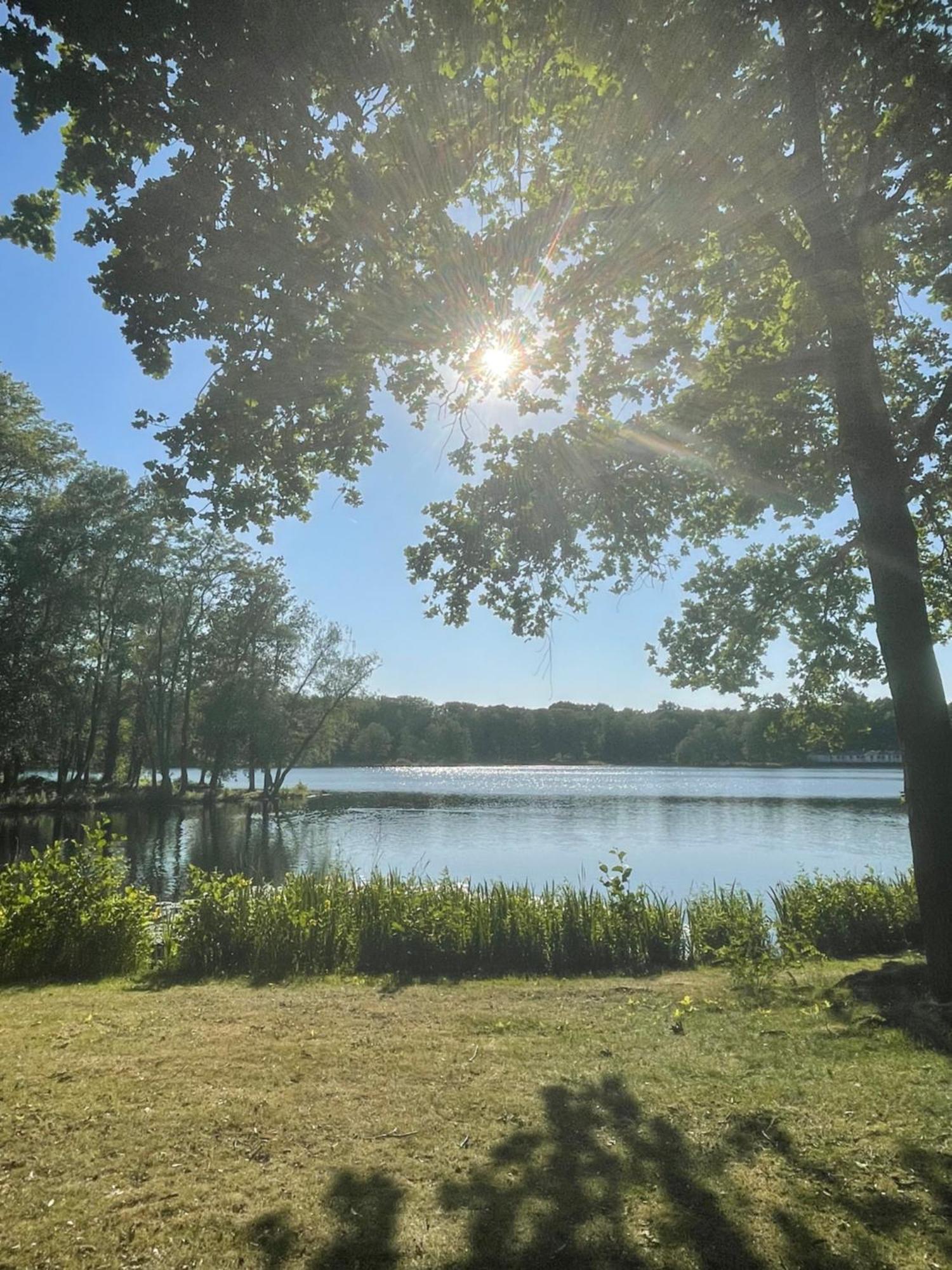 Boshuisje Pinus Sonnevijver Residences Ланакен Экстерьер фото
